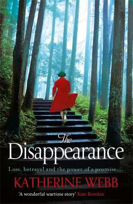 Picture of The Disappearance
