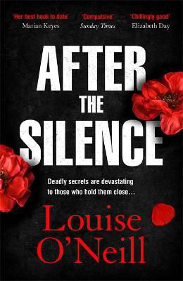 Picture of After the Silence: The An Irish Post Crime Novel of the Year