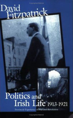 Picture of Politics and Irish Life 1913-21: Provincial Experiences of War and Revolution