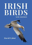 Picture of Irish Birds - New Edition
