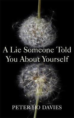 Picture of A Lie Someone Told You About Yourself