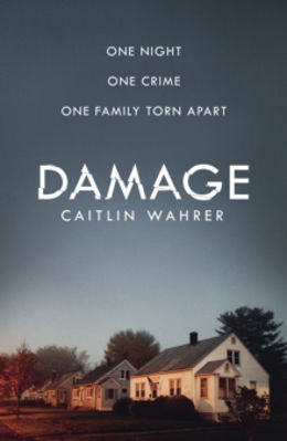 Picture of Damage