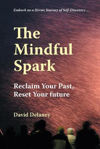 Picture of The Mindful Spark: Reclaim Your Past, Reset Your Future