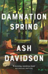 Picture of Damnation Spring