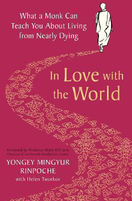 Picture of In Love with the World: What a Monk Can Teach You About Living from Nearly Dying