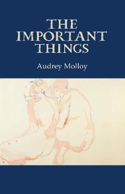 Picture of The Important Things PB