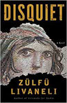 Picture of Disquiet: A Novel