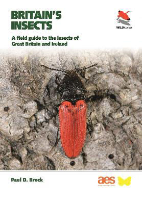 Picture of Britain's Insects: A Field Guide to the Insects of Great Britain and Ireland