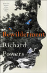 Picture of Bewilderment