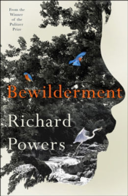 Picture of Bewilderment