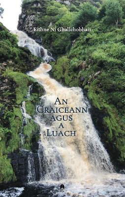 Picture of An Craiceann agus a Luach