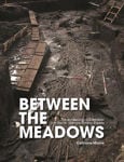 Picture of Between the Meadows: The archaeology of Edercloon on the N4 Dromod-Roosky Bypass