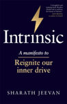 Picture of Intrinsic: A manifesto to reignite our inner drive