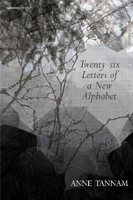 Picture of Twenty-six Letters Of A New Alphabet