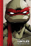 Picture of Teenage Mutant Ninja Turtles: The IDW Collection Volume 1