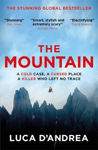 Picture of The Mountain: The Breathtaking Italian Bestseller