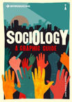 Picture of Introducing Sociology: A Graphic Guide