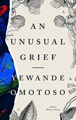 Picture of An Unusual Grief