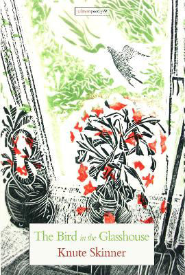 Picture of The Bird in the Glasshouse