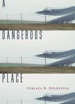 Picture of A Dangerous Place