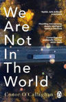 Picture of We Are Not in the World: 'compelling and profoundly moving' Irish Times