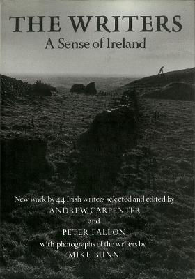 Picture of The Writers: A Sense Of Ireland