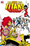 Picture of The New Teen Titans Vol. 13