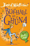 Picture of Buachaill an Ghúna (The Boy in the Dress Irish version)
