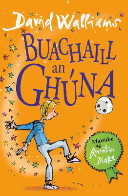 Picture of Buachaill an Ghúna (The Boy in the Dress Irish version)