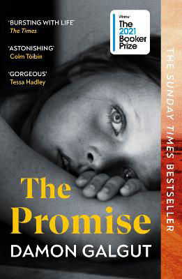Picture of The Promise: WINNER OF THE BOOKER PRIZE 2021
