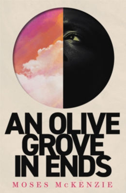 Picture of An Olive Grove In Ends