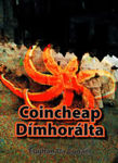 Picture of Coincheap Dimhoralta