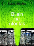 Picture of Bliain Na Nlontas