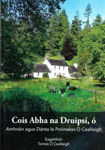 Picture of Cois Abha na Druipsí, ó Amhráin & dánta le Próinséas Ó Ceallaigh