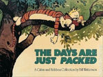 Picture of Calvin and Hobbes : The Days are Packed