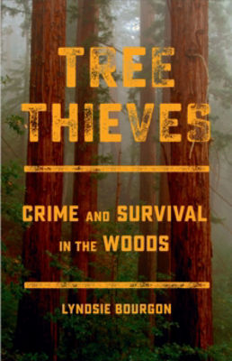 Picture of Tree Thieves