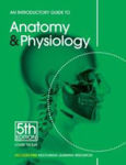 Picture of An Introductory Guide to Anatomy & Physiology
