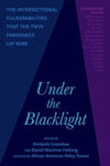 Picture of Under the Blacklight: The Intersectional Vulnerabilities that the Twin Pandemics Lay Bare