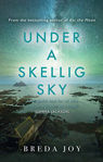 Picture of Under a Skellig Sky