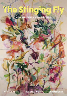 Picture of Stinging Fly Issue 46 Volume Two Summer 2022