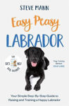 Picture of Easy Peasy Labrador