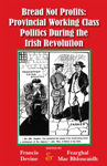 Picture of Bread Not Profits : Provincial Working-Class Politics During the Irish Revolution