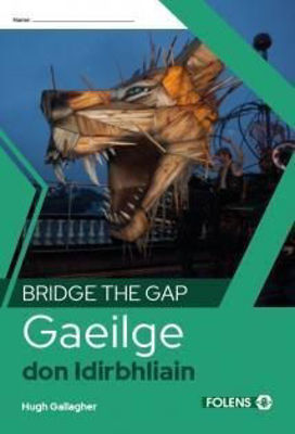 Picture of Bridge the Gap Gaeilge don Idirbhliain - Transition Year Irish