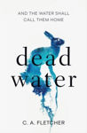 Picture of Dead Water