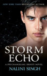 Picture of Storm Echo