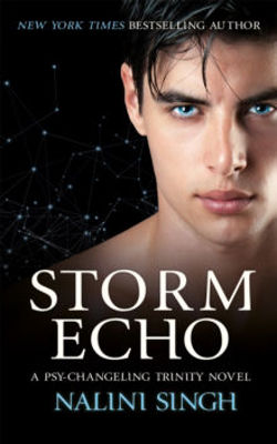 Picture of Storm Echo