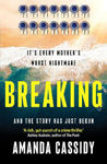 Picture of Breaking : A compelling debut from a new voice in Irish crime fiction