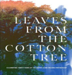 Picture of Leaves from the Cotton Tree