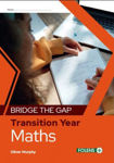 Picture of Bridge the Gap Transition Year Maths