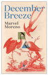 Picture of December Breeze: A masterful novel on womanhood in Colombia